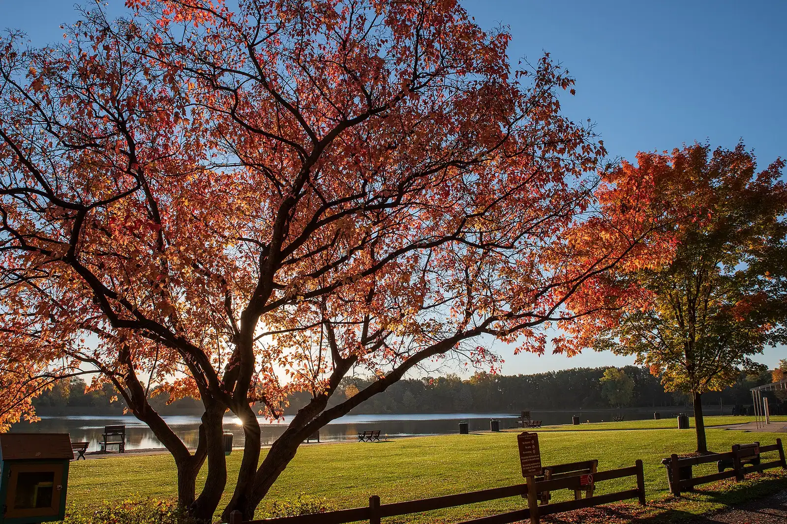 Fall sunrise over a lake framed by red leaves