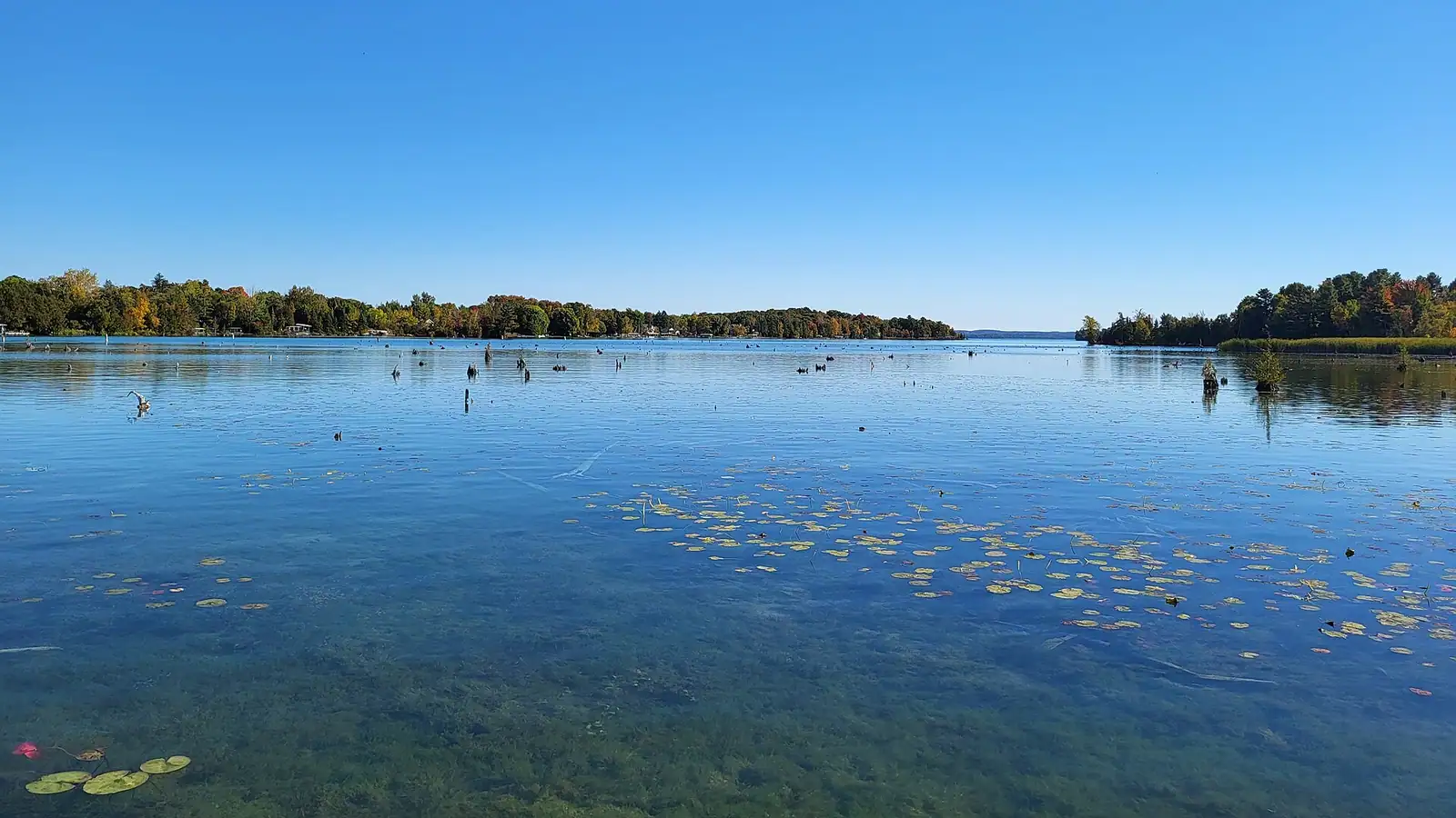 Calm blue lake water and a wooded shoreline
