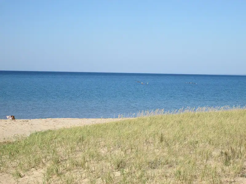 Beach grass and blue Lake Michigan water