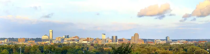 Downtown Grand Rapids skyline above the trees