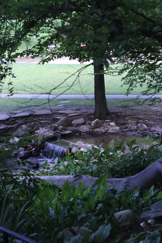 A small waterfall over rocks in a wooded creek