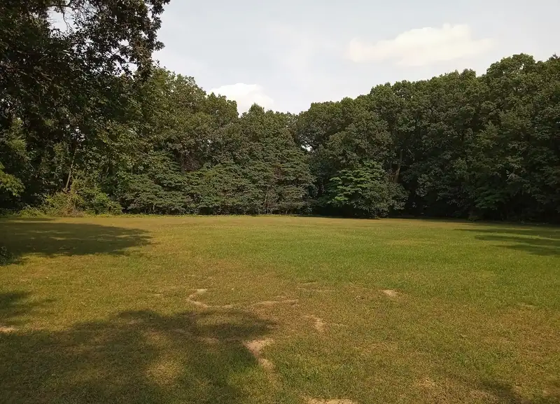 An open park lawn with mature trees